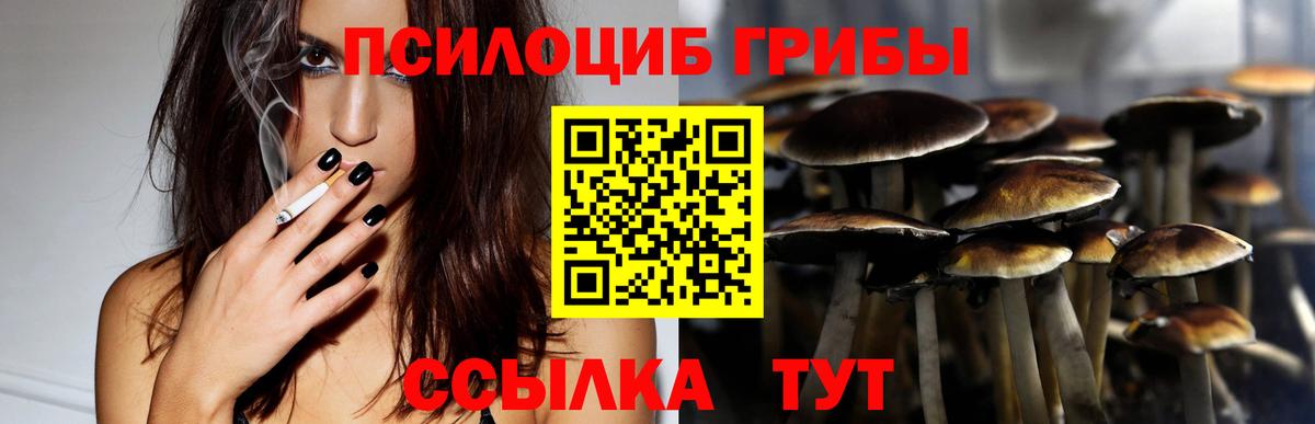 Симферополь  Галлюциногенные грибы GOLDEN TEACHER  Вход с VPN 